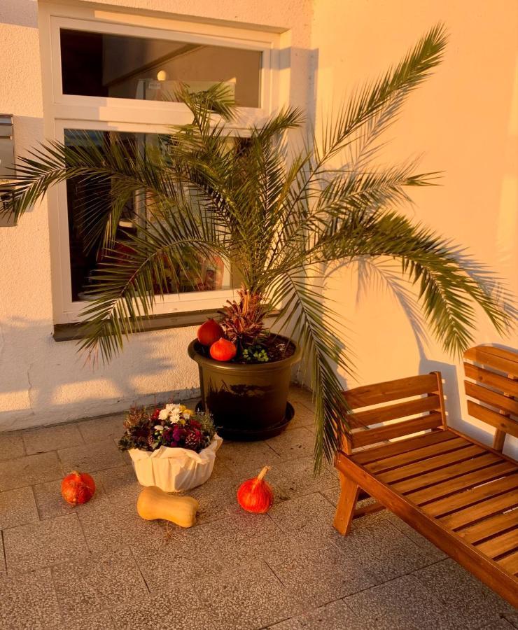 Penzion Kozi Horka U Brnenske Prehrady Brno Dış mekan fotoğraf