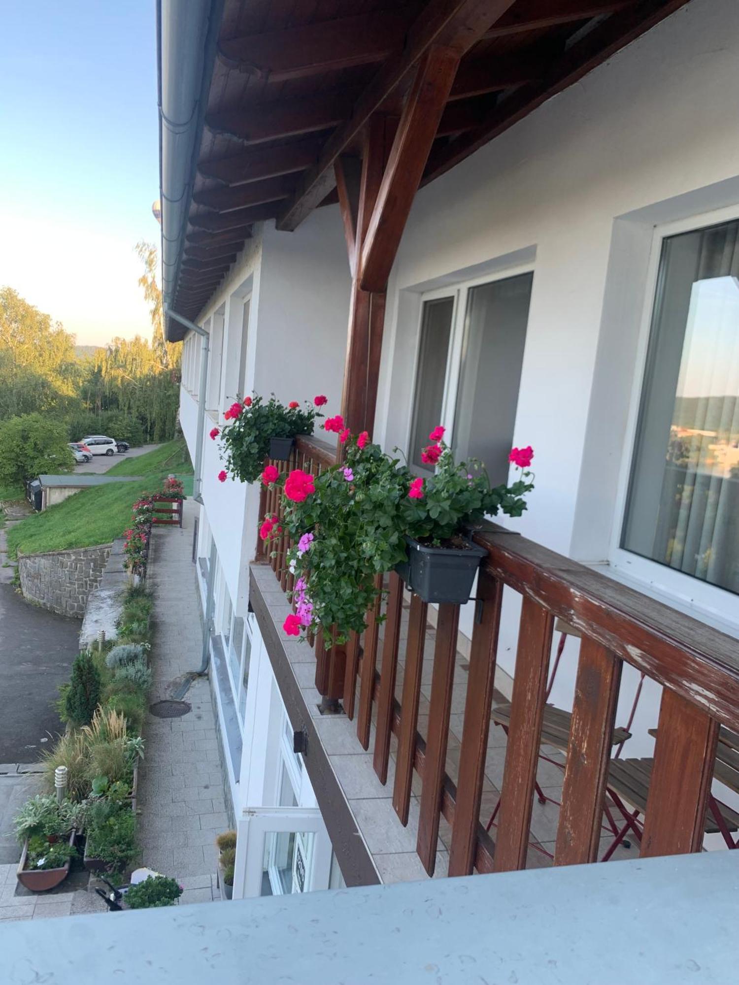 Penzion Kozi Horka U Brnenske Prehrady Brno Dış mekan fotoğraf